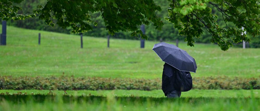 Ein Mann geht mit einem Regenschirm in Stuttgart bei Regenwetter durch den Schlosspark. 