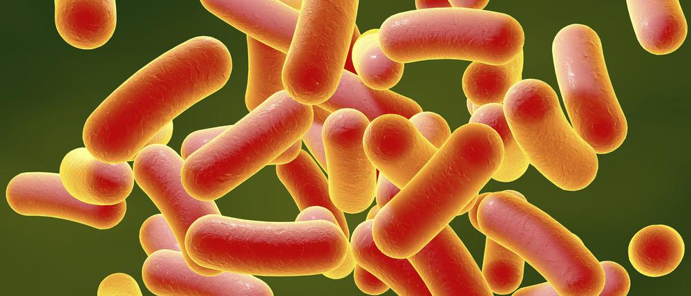 Resiliente Darmflora Eine Alternative zu Antibiotika?