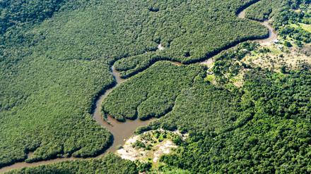 Die Abholzung im brasilianischen Amazonasgebiet ist zum ersten Mal seit vier Jahren rückläufig.