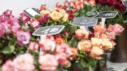 Rund 330 Millionen Rosen kommen jährlich aus Kenia, Sambia und Äthiopien nach Deutschland.
