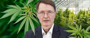 Nur eine Montage: Bundesgesundheitsminister Karl Lauterbach (SPD) und Cannabis-Pflanzen.