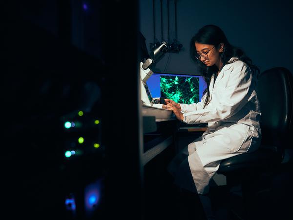 Sampoorna Chakrabarti del grupo de Gary Lewin ha realizado varios experimentos actuales sobre el tacto y elken1. 