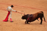 José Garrido, Stierkämpfer aus Mexiko, reizt einen Stier während eines Stierkampfs beim San Fermin Festival. (Archivbild)