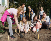 Schülerinnen der Erwin-von-Witzleben-Grundschule pflegen den Vorgarten der Schule.