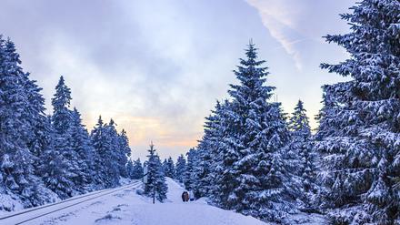 Eine Schneelandschaft im Harz.
