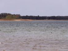 Tödlicher Badeunfall: Leiche aus Großem Seddiner See in Brandenburg geborgen