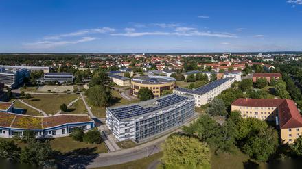 Der Senftenberger Campus der BTU. Die Folgen der Fusion der Hochschule dort mit der Uni in Cottbus vor zehn Jahren sind bis heute zu spüren. Viele Professorenstellen sind betroffen.