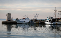 In der Bucht von Piran sind vor allem die Fischereirechte umstritten.