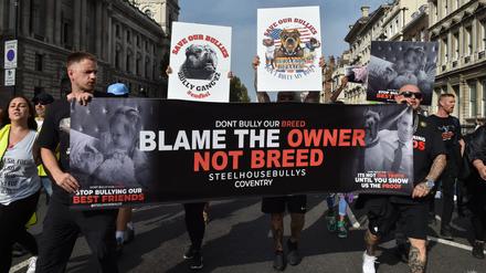  Besitzer und Fans der Hunderasse American XL Bully protestieren in London gegen den Vorschlag der britischen Regierung. Nach einer Reihe von Angriffen von Tieren der Hunderasse American Bully XL, ist die Überlegung, diese Rasse auf die Liste der verbotenen Rassen im Rahmen des «Dangerous Dog Act» zu setzen. 