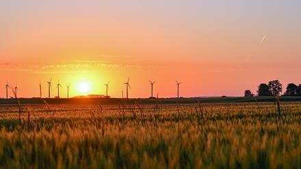 Am frühen Morgen leuchtet der Sonnenaufgang über einem Getreidefeld mit Windenergieanlagen im Landkreis Märkisch-Oderland im Osten des Landes Brandenburg.