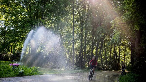 08.05.2018, Berlin: Ein Radfahrer radelt im Tiergarten an einer Berieselungsanlagen vorbei. Foto: Kay Nietfeld/dpa +++ dpa-Bildfunk +++