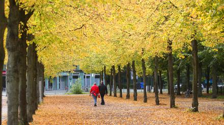 Bei Temperaturen um 17 Grad Celsius spazieren Menschen durch den Tiergarten an Bäumen mit gefärbten Laub vorbei. 