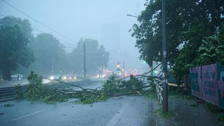 Berlin: Der Starkregen hat einen Baum quer auf die Prenzlauer Allee stürzen lassen.