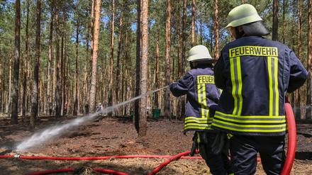 09.06.2021, Brandenburg, Wünsdorf: Zwei Kameraden der Freiwilligen Feuerwehr löschen letzte Glutnester bei einem kleinen Brand in einem Kiefernwald nahe Wünsdorf. 