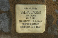 In der Berliner Güntzelstraße liegt der Stolperstein des Nazi-Opfers Selma Jacobi, die im Ghetto Theresienstadt ermordet worden ist.