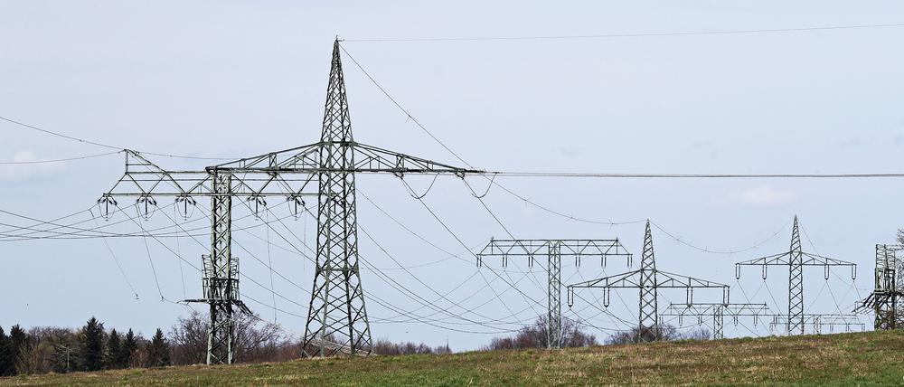 Hochspannungsleitungen beim Potsdamer Ortsteil Golm. Die Kosten für den Betrieb tragen Verbraucher in den Netzentgelten im Strompreis.