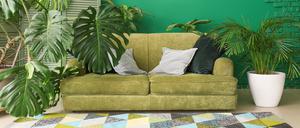 Stylish sofa with houseplants in interior of living room