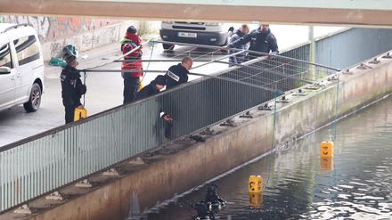 Taucher der Hamburger Polizei sind an einem Kanal in Wilhelmsburg im Einsatz. 