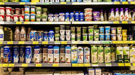 Supermarkt, Regal mit verschiedenen Produkten, Kühlregal mit verschiedenen Milchprodukten, Milch, Sahne, Jogurt, Bio Produkte