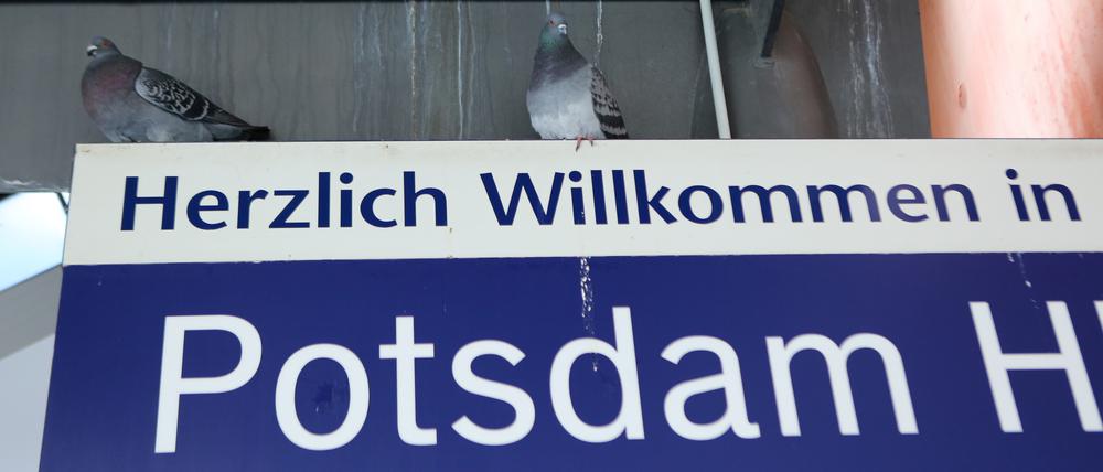 Die Deutsche Bahn kündigt ein Reinigungsprogramm für den Potsdamer Hauptbahnhof an. 