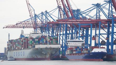 Containerschiffe werden am Container Terminal Tollerort im Hamburger Hafen abgefertigt. (Archiv)