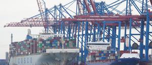 Containerschiffe werden am Container Terminal Tollerort im Hamburger Hafen abgefertigt.