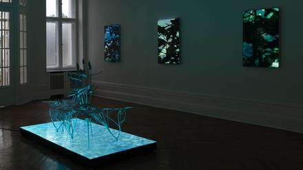 Die Ausstellung „Natural Origin“ von Timur Si-Qin in der Galerie Société in Berlin. 