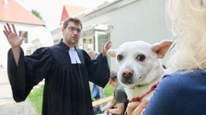 Evangelischer Gemeinde Rudow hat eine Tiersegnung organisiert.