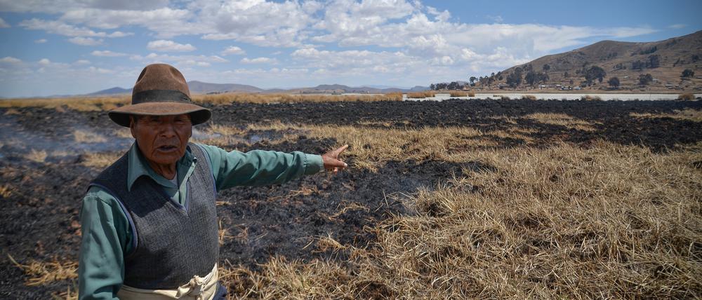 11.10.2023, Bolivien, Huarina: Gregorio Apaza zeigt auf verbrannte Rohrkolben auf der Insel Cojata am Titicacasee.