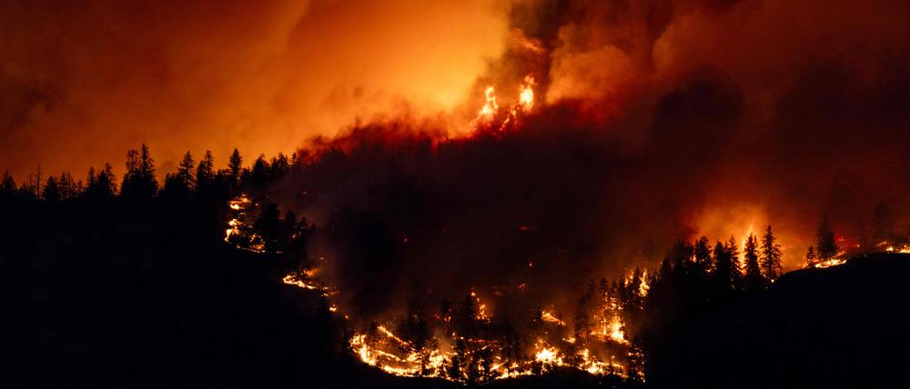 Notstand wegen Waldbränden: In British Columbia tobt das Feuer.