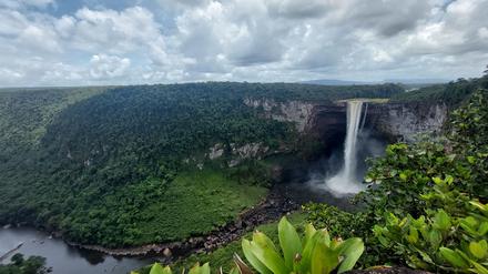 Tropischen Wälder, wasserreiche Savannen, Tafelberge – und viele Rohstoffe: Die Region Essequibo in Guyana.
