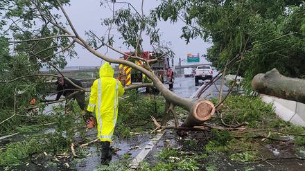 Feuerwehrkräfte in Puerto Rico räumen einen umgestürzten Baum von der Straße.