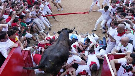 Auch dieses Jahr protestierten Tierschutzgruppen gegen die traditionsreiche Veranstaltung, die inzwischen aber auch in Spanien umstritten ist.