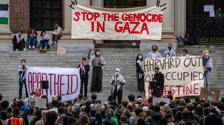 Eine Kundgebung für Gaza an der Harvard Universität Mitte Oktober. Jüdische Studierende beklagen eine fehlende Solidarität mit den Opfern der Hamas-Attacke. 