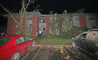 Zerstörte Bäume vor einem Haus in Dayton.