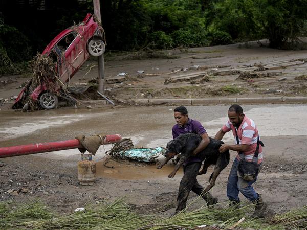 Männer in Venezuela tragen einen Hund, der nach einem durch heftigen Regen verursachten Erdrutsch aus dem Schlamm gerettet wurde.