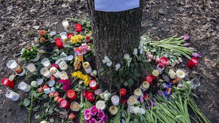 Blumen und Kerzen haben Unbekannte an einem Baum im Bürgerpark Pankow abgelegt. 