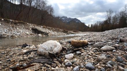 Nur wenig Wasser führt aktuell der Gebirgsbach Pöllat im bayrischen Ostallgäu. Angesichts der vielerorts geringen Schneedecke in den Alpen und des regenarmen Februars droht laut Experten massive Trockenheit.