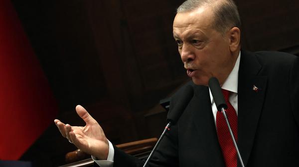 Erdogan am 29.11.2023 im türkischen Parlament.