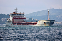 Das unter türkischer Flagge fahrende Frachtschiff Polarnet befährt den Bosporus in Istanbul.