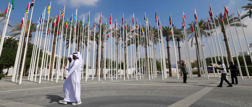 Die Klimakonferenz in Dubai ist umstritten.