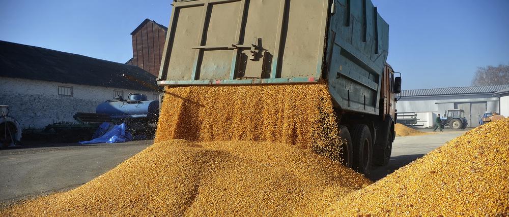 Steht das Getreideabkommen mit der Ukraine vor dem Aus?