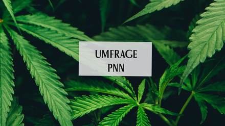 PNN-Umfrage zu Cannabis Legalisierung