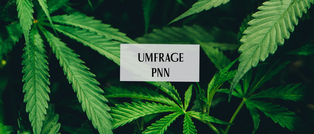 PNN-Umfrage zu Cannabis Legalisierung