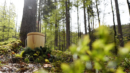 Eine Urne steht im ersten Naturfriedhof Stiller Wald Mittenwald der Bayerischen Staatsforsten.