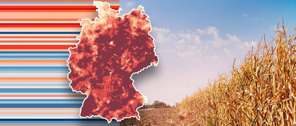 Viele Böden in Deutschland haben zu wenig Wasser bekommen. 