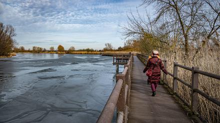 Am Brandenburger Mühlensee können Ausflügler Landluft schnuppern und dabei den Blick aufs Wasser genießen. 