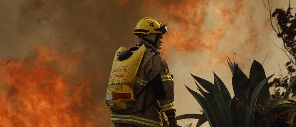 Schwere Waldbrände wüten in Chile.