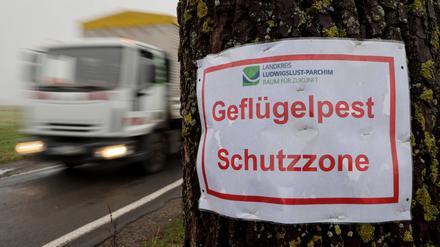 Schutzzone  in der Gemeinde Lewitzrand, die in diesem Jahr bereits zwei Mal von einem Vogelgrippe-Ausbruch betroffen war.