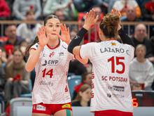 Klarer Sieg in Suhl: Potsdamer Volleyballerinnen ziehen ins Halbfinale ein